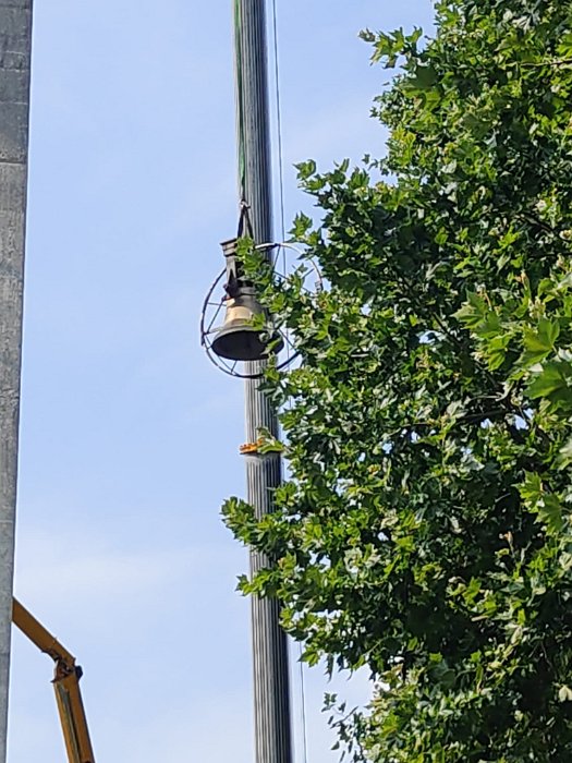 995f0c43-98b9-47c3-ab11-7270fceeecff