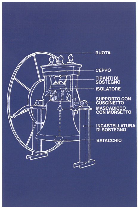 Schema campana (DAN)